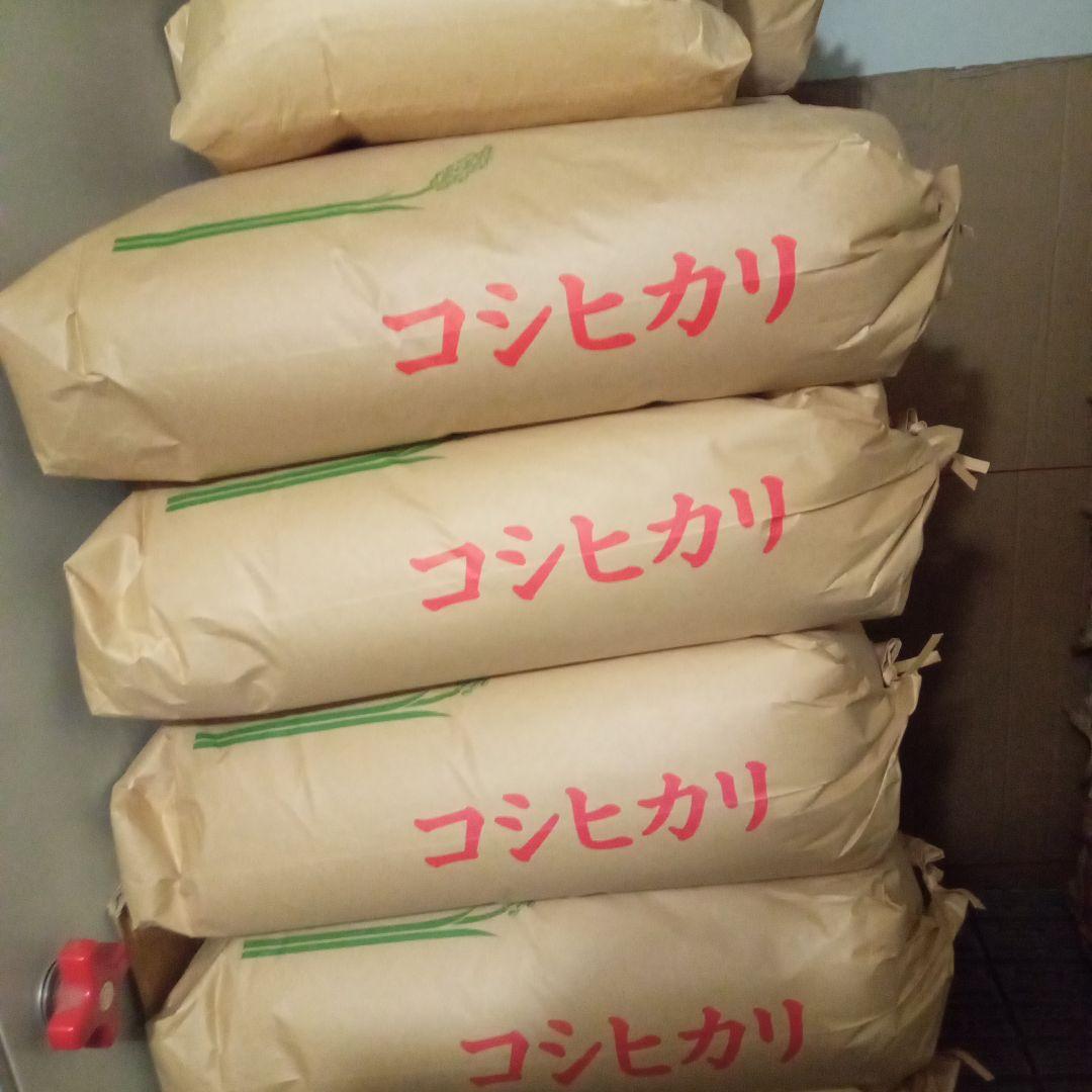 R7年産 新米 群馬県産 コシヒカリ 30キロ 玄米 送料込 30kg ②