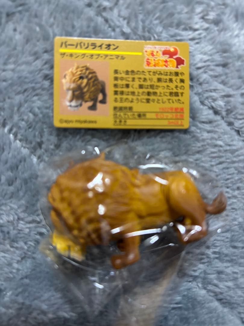 戦え絶滅動物PART3 宮川アジュ　モア　スミロドン　サーベルタイガー　ライオン