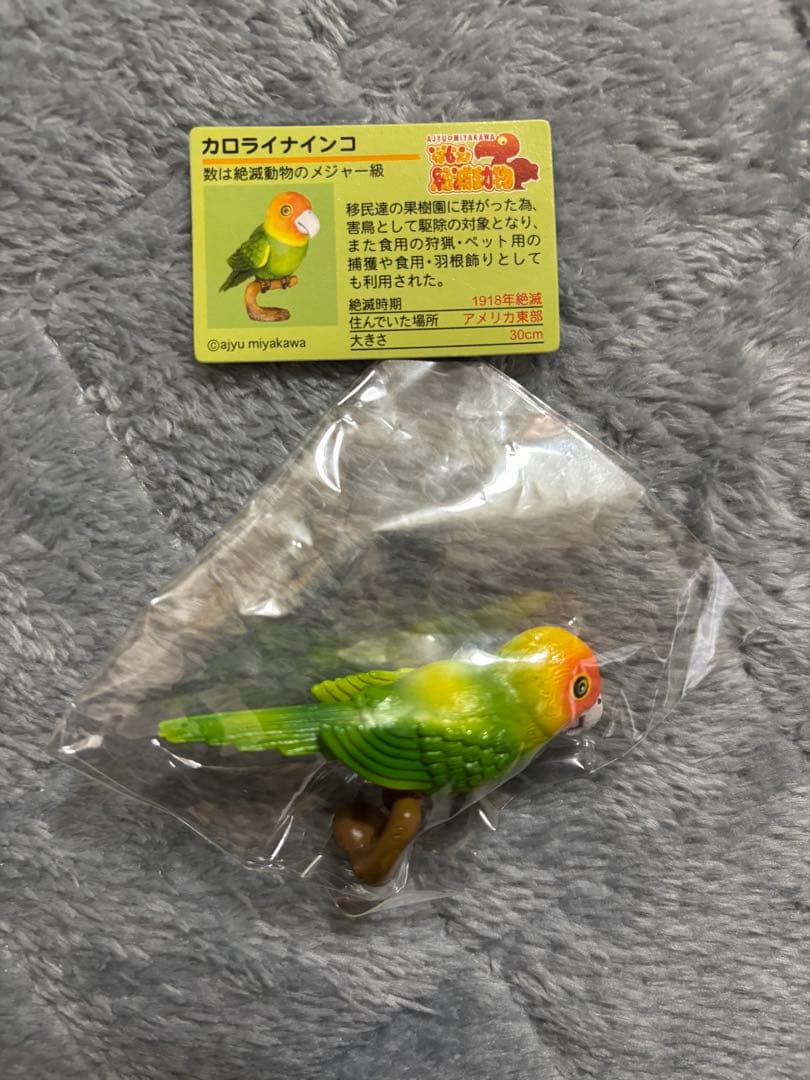 戦え絶滅動物PART3 宮川アジュ　モア　スミロドン　サーベルタイガー　ライオン