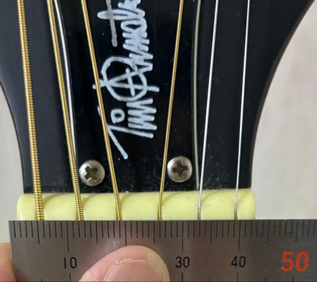 Fender Tim Armstrong Hellcat エレアコ