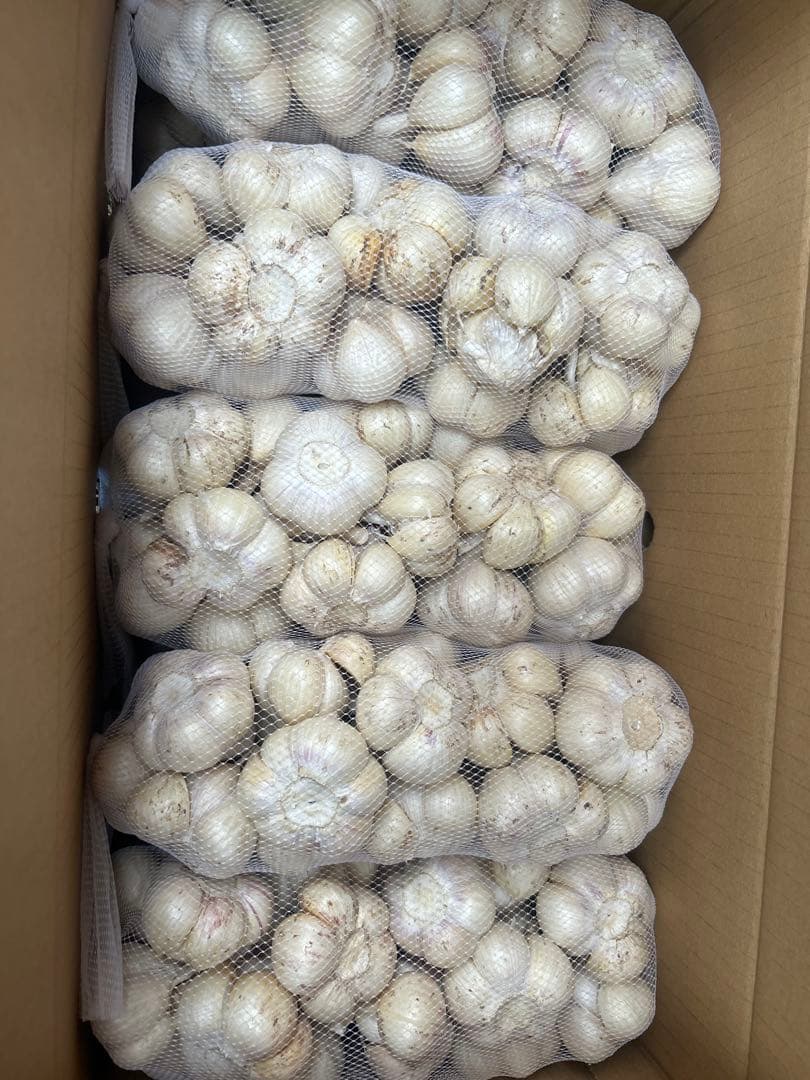 青森県農薬不使用福地ホワイトMサイズにんにく5キロ送料無料