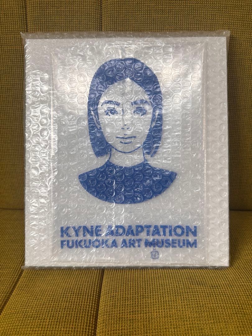 新品未開封　ADAPTATION KYNE 福岡市美術館 キネ展 図録