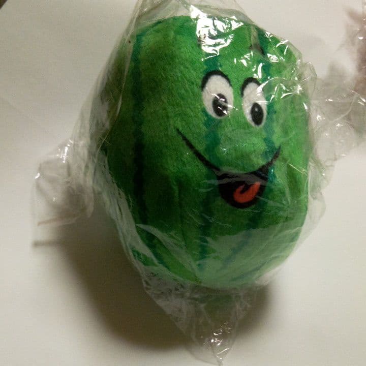 犬のおもちゃ　確認用