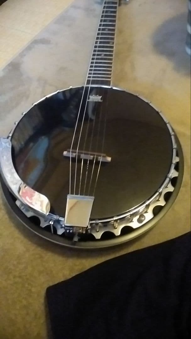 オルテガ6弦バンジョー Raven Seres OBJE 350/6 SBK