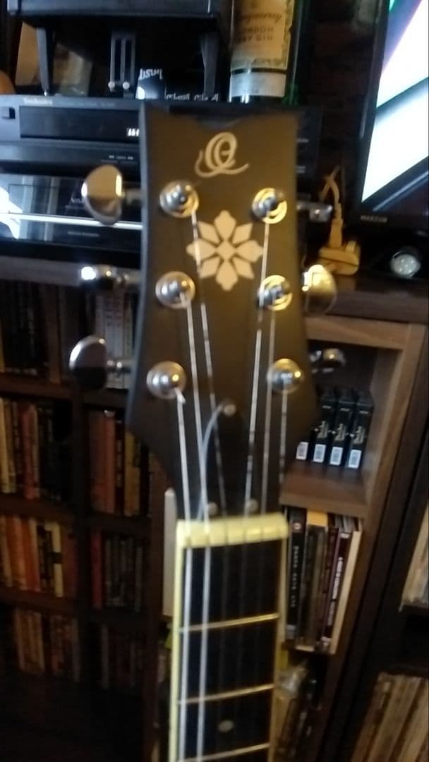 オルテガ6弦バンジョー Raven Seres OBJE 350/6 SBK