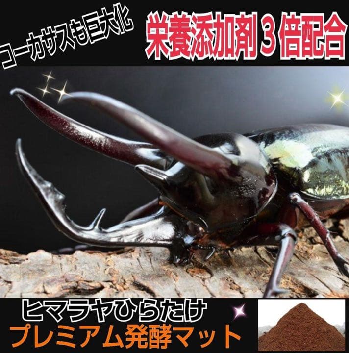 大人気！雑虫がわかない！完全室内製造！極上！プレミアム発酵カブトムシマット　5袋