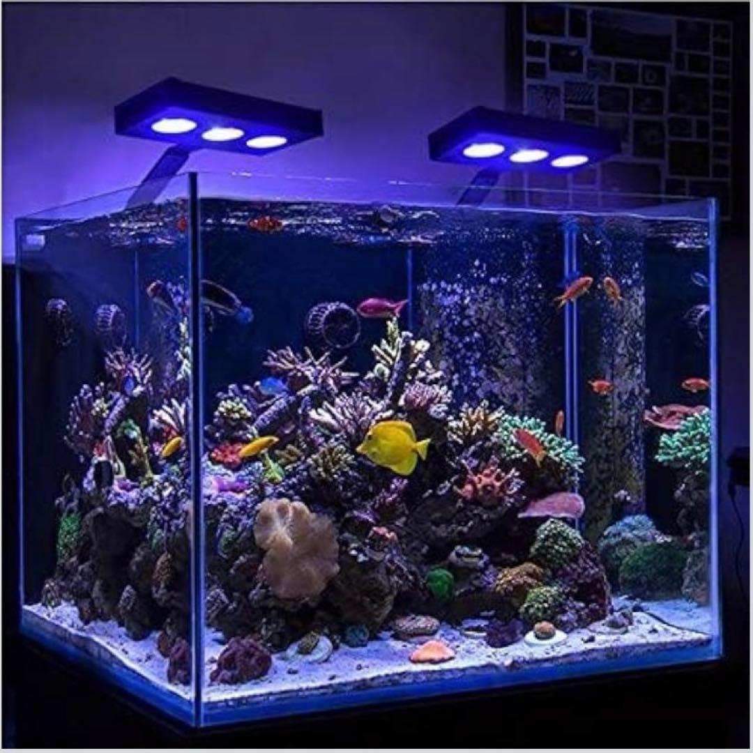 新品　マリンアクアリウム　サンゴ　海水魚　コーラルライト　SPECTRA