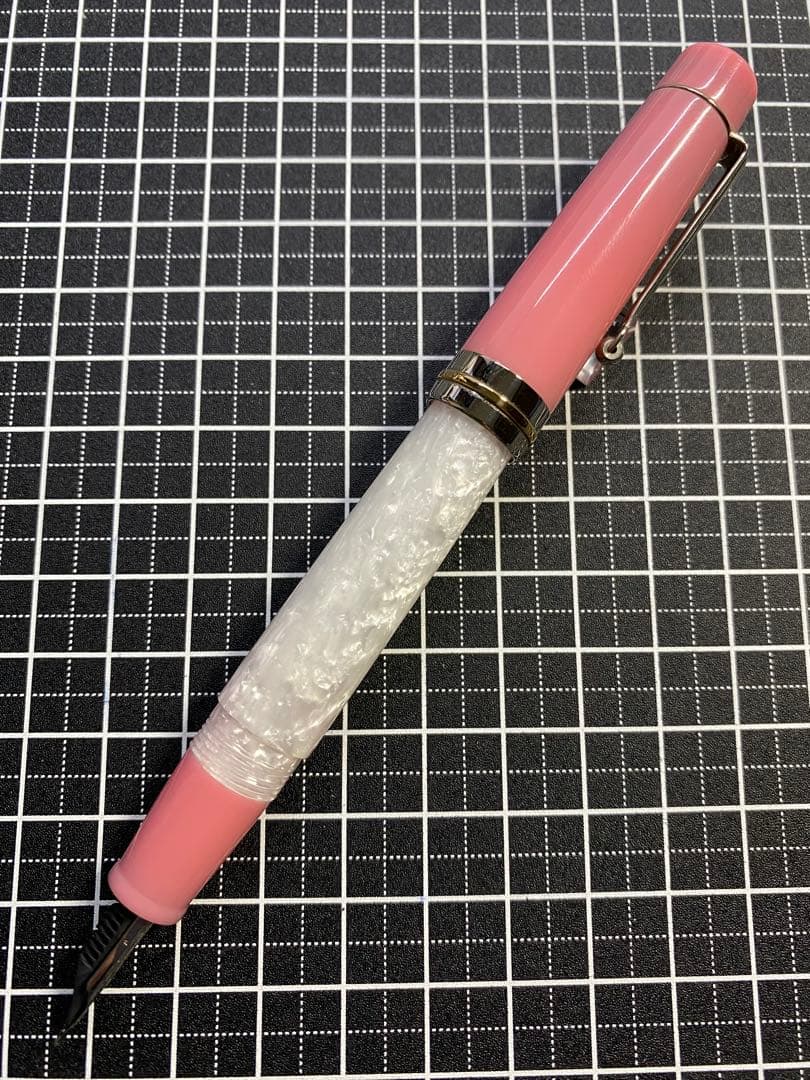 DELTA Vintage VOLONTA 万年筆　字幅F