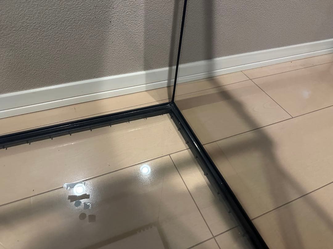 グラステラリウム　4560