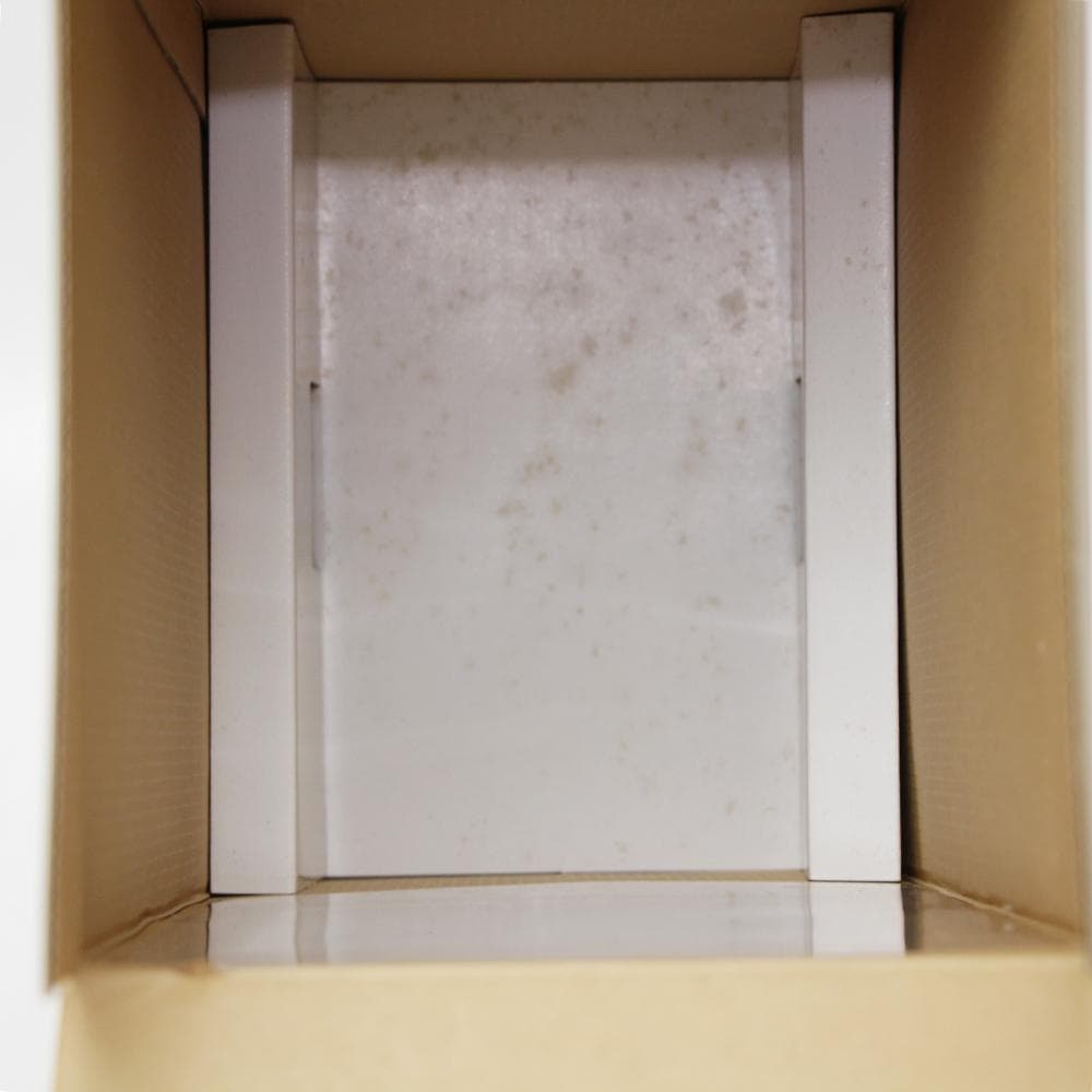 Hana-Usagi ホワイトぬいぐるみ「鼻兎」ぬいぐるみ