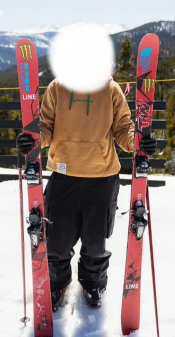 LINE ライン スキー板 トム ウォリッシュ プロ 171cm