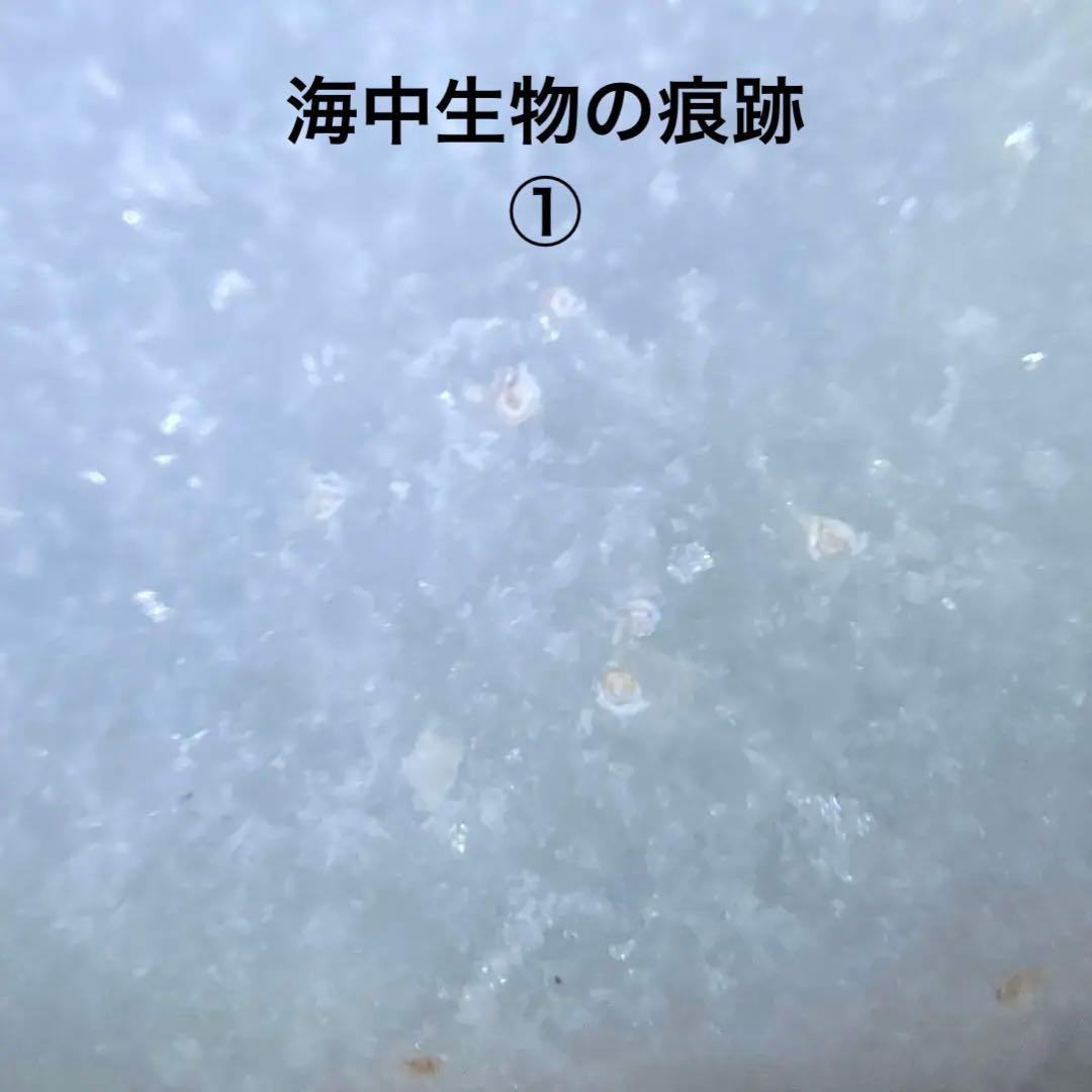 糸魚川翡翠　海中翡翠　海石　翡翠輝石　原石　261.8ｇ