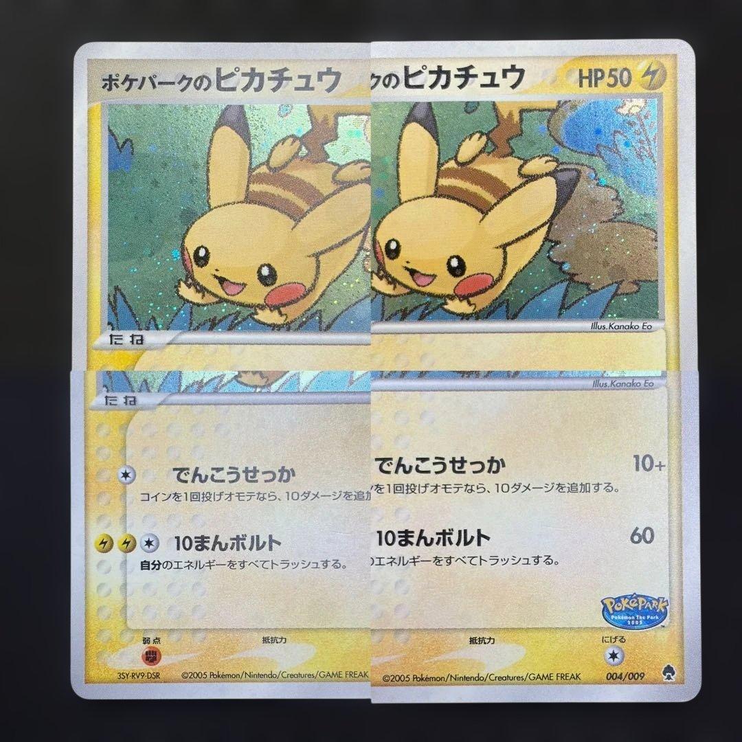 【希少ポケパーク限定】ポケモンカードゲーム フォレストシート プレミアムファイル