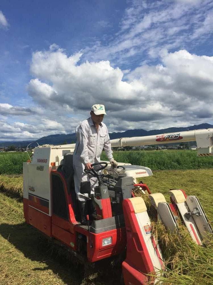 令和7年産　新潟　新之助　白米5キロ2個（5kg×2)1０キロ精米無料★農家直送