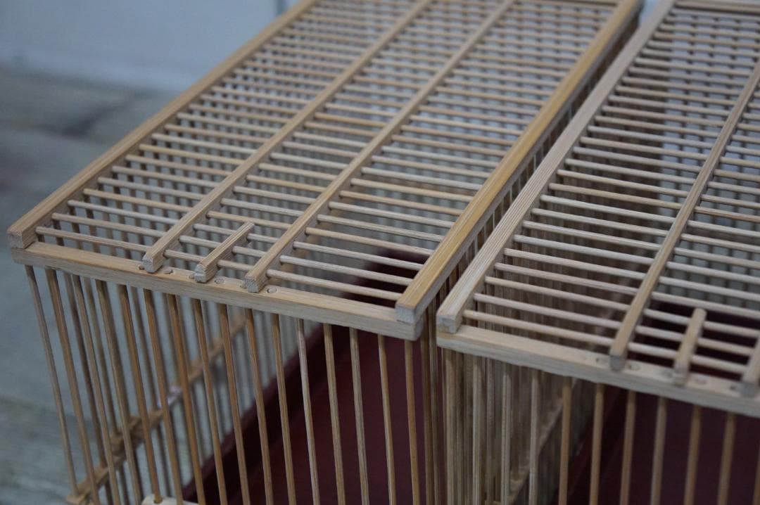 品評会用 桐箱付き 4点 30㎝ 竹籠 メジロ 鳥 鳥かご 状態良好 鑑賞籠 篭