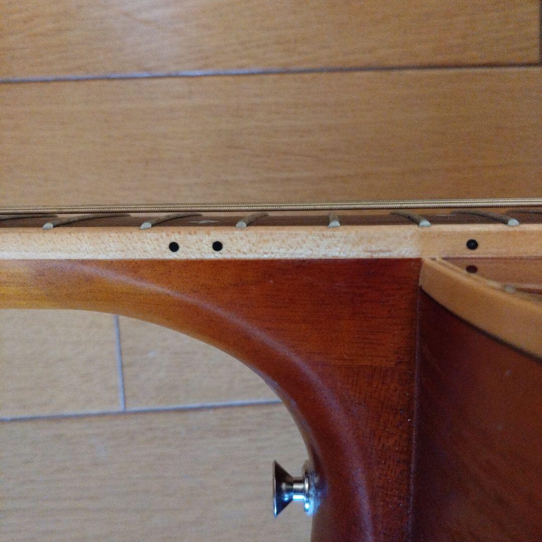 Ariaエレアコギター