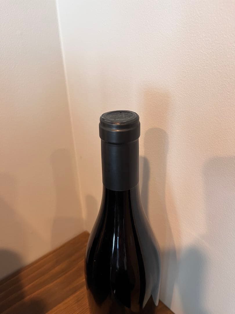 【ニコラ・フォール】 ニュイ　サン　ジョルジュ　レ　ゼルビュ2023