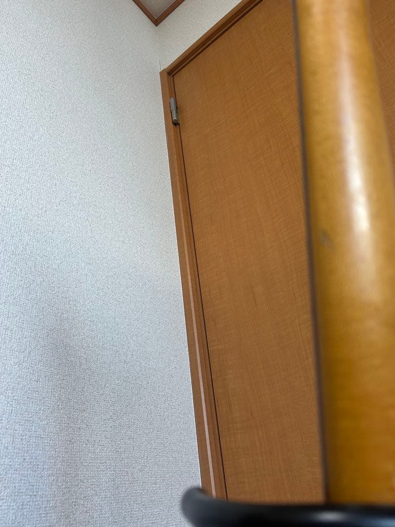 FERNANDES エレキギター