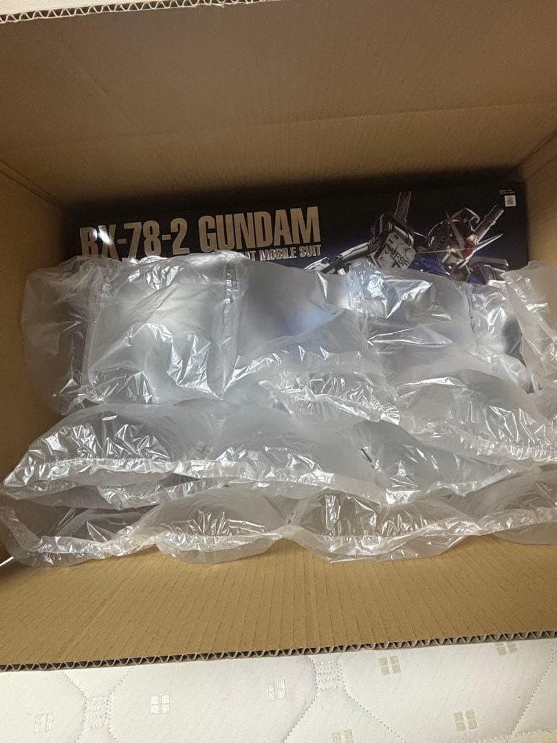 RX-78-2 GUNDAM PG(パーフェクトグレード)