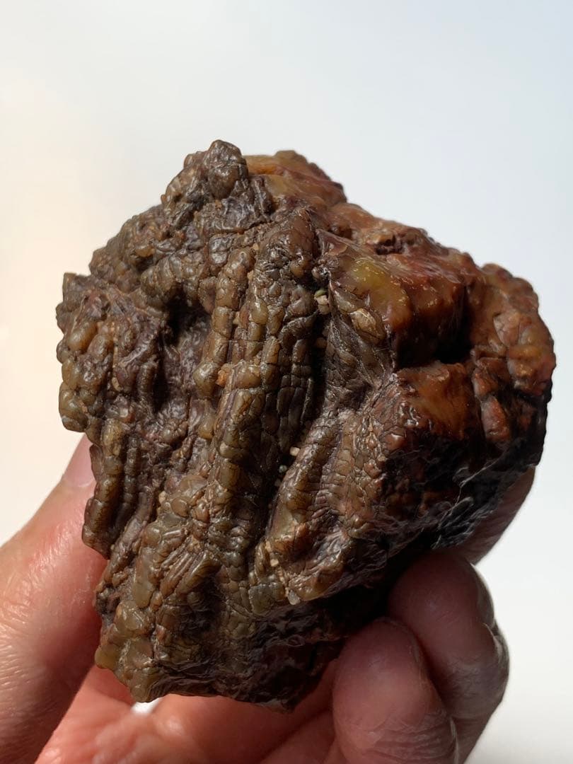 アラシャンゴビアゲート　蒙古瑪瑙　水石　翡翠　オパール　根付　天珠　化石　隕石