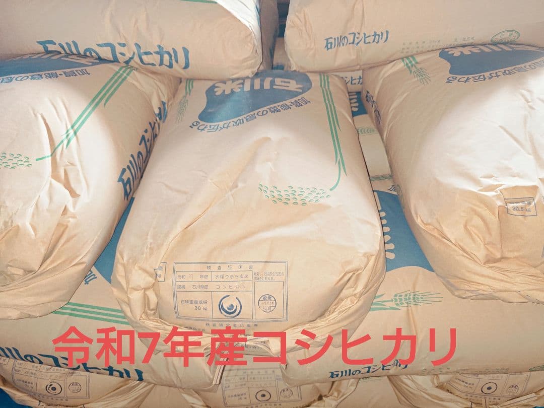 令和7年　石川県産コシヒカリ 玄米30キロ