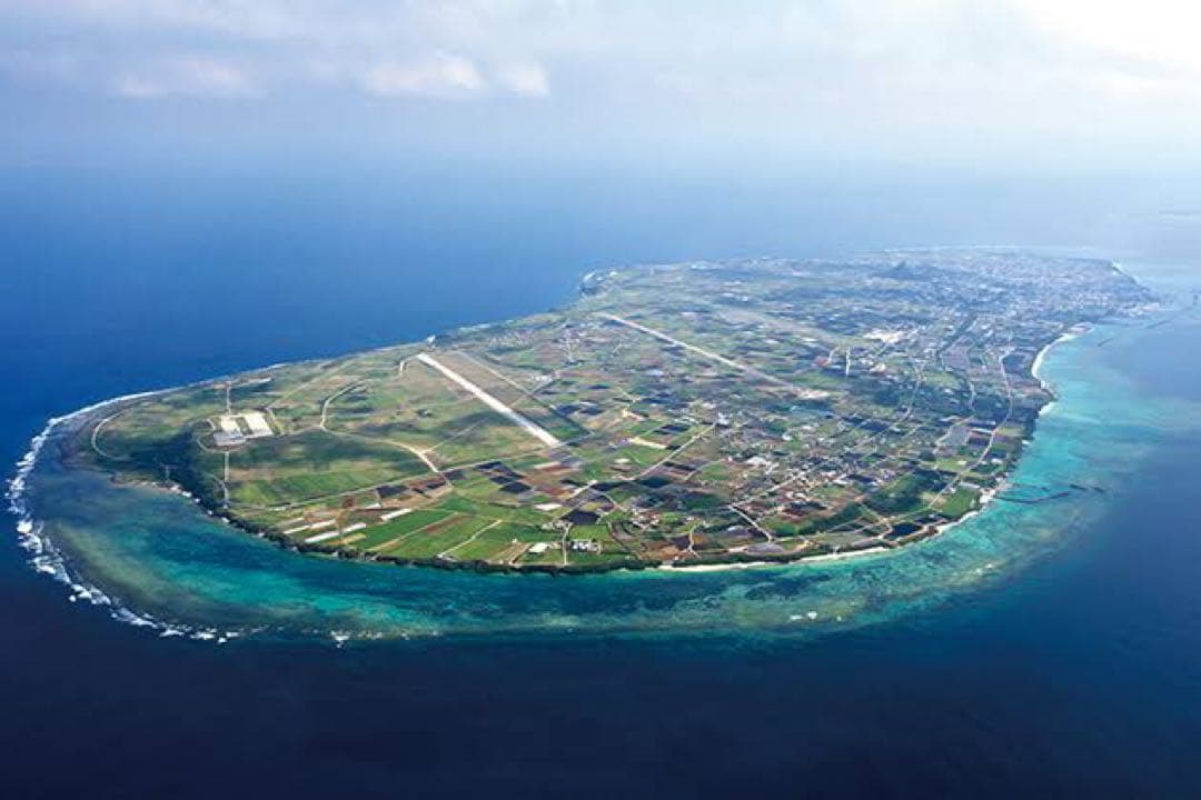 伊江島産　島らっきょう5キロ専用です！