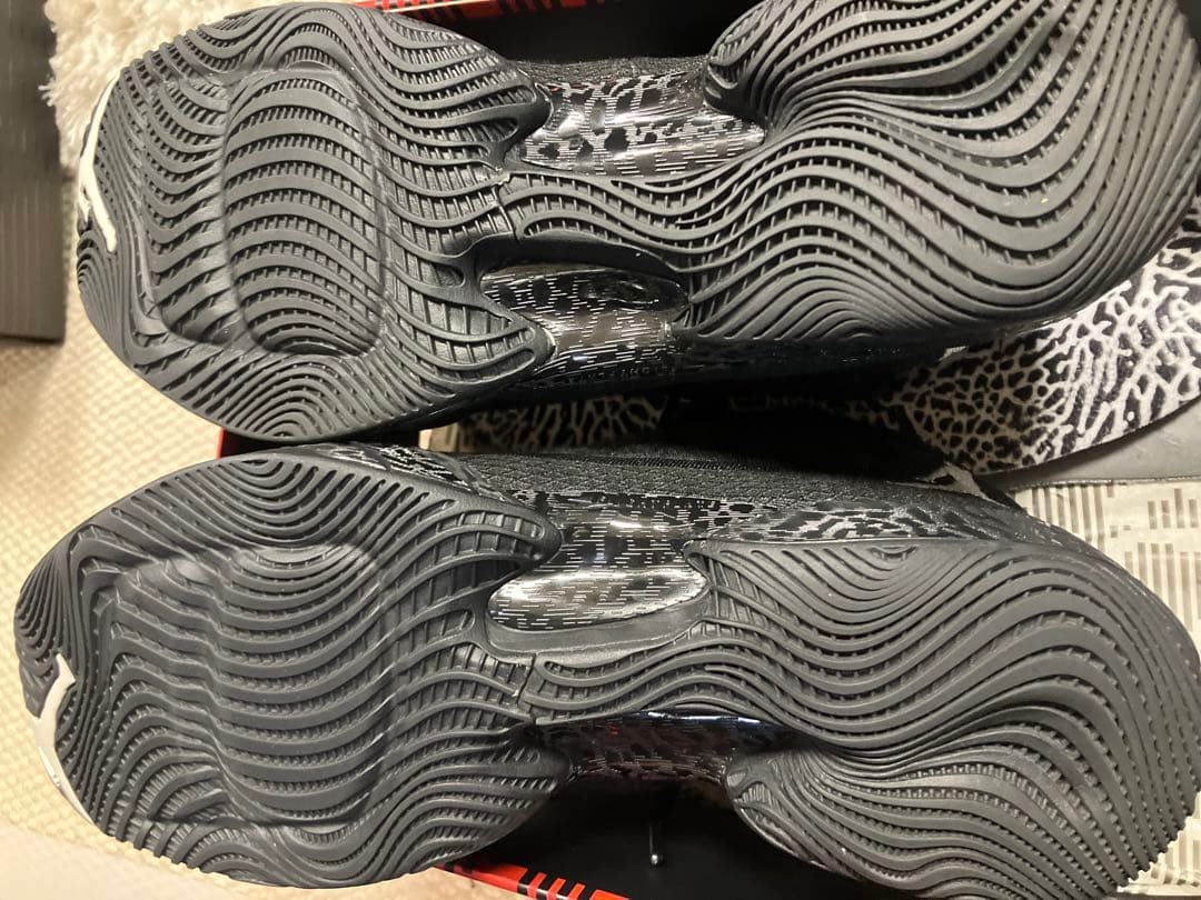 シューズ(男性用) jordan29