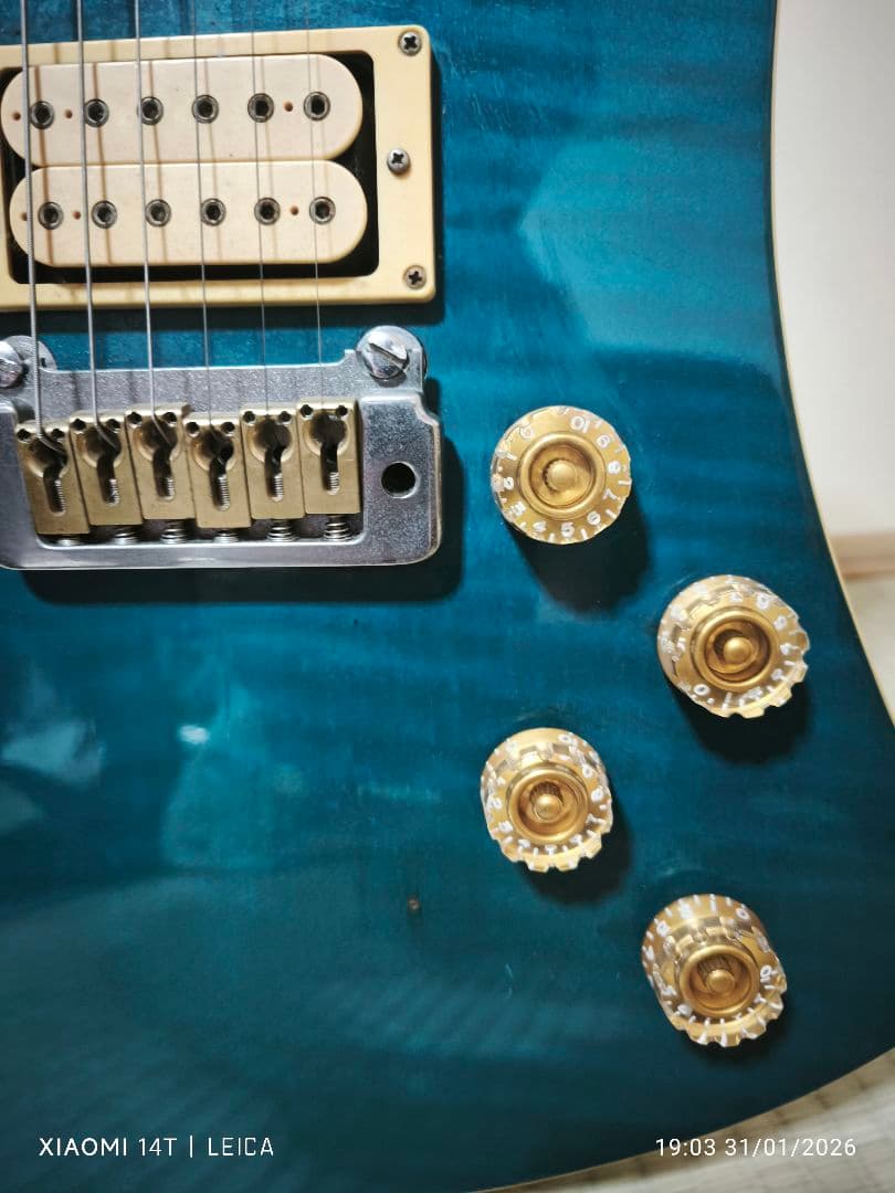 【極希少色1983年製Washburn A-20V StagTeal Green