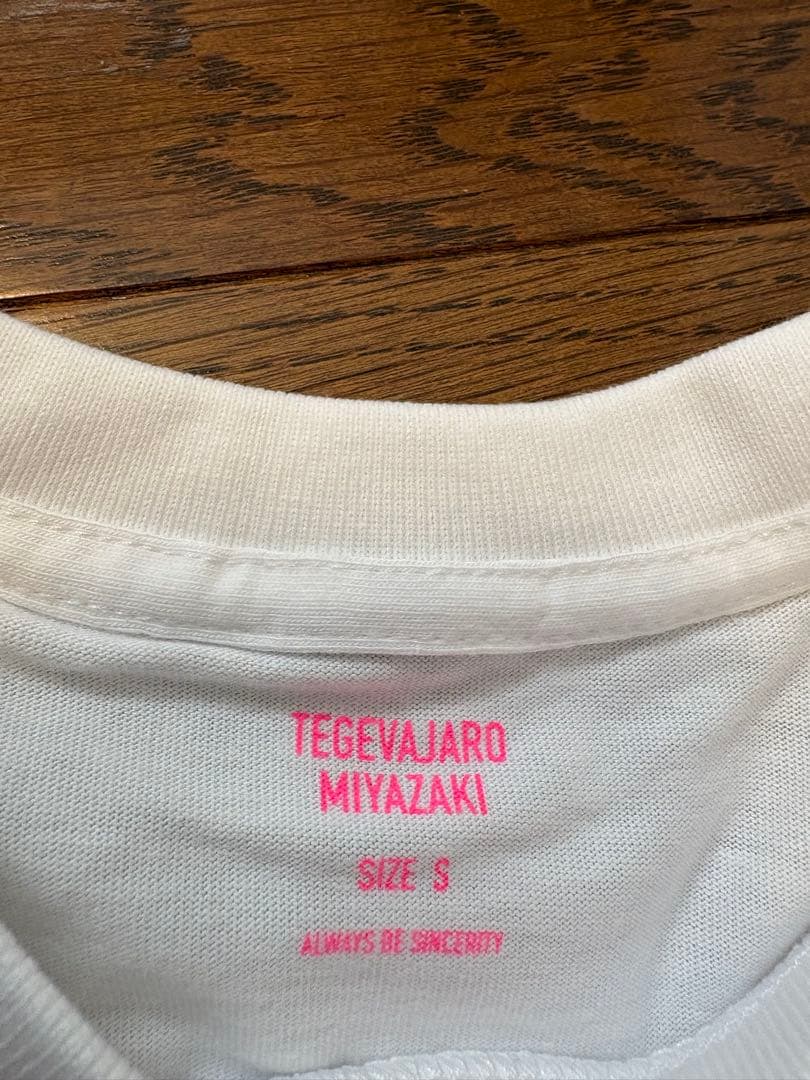 テゲバジャーロ宮崎35 江川選手サイン入り　Tシャツ