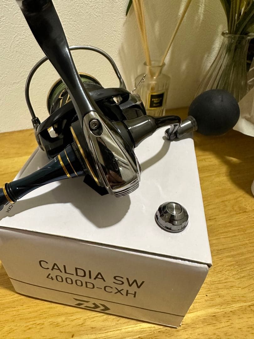 ダイワ　22カルディアSW 4000D-CXH