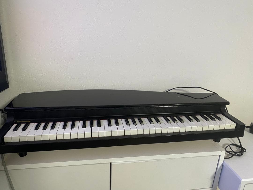 KORG MICROPIANO マイクロピアノ 鍵盤61鍵 61曲デモソング