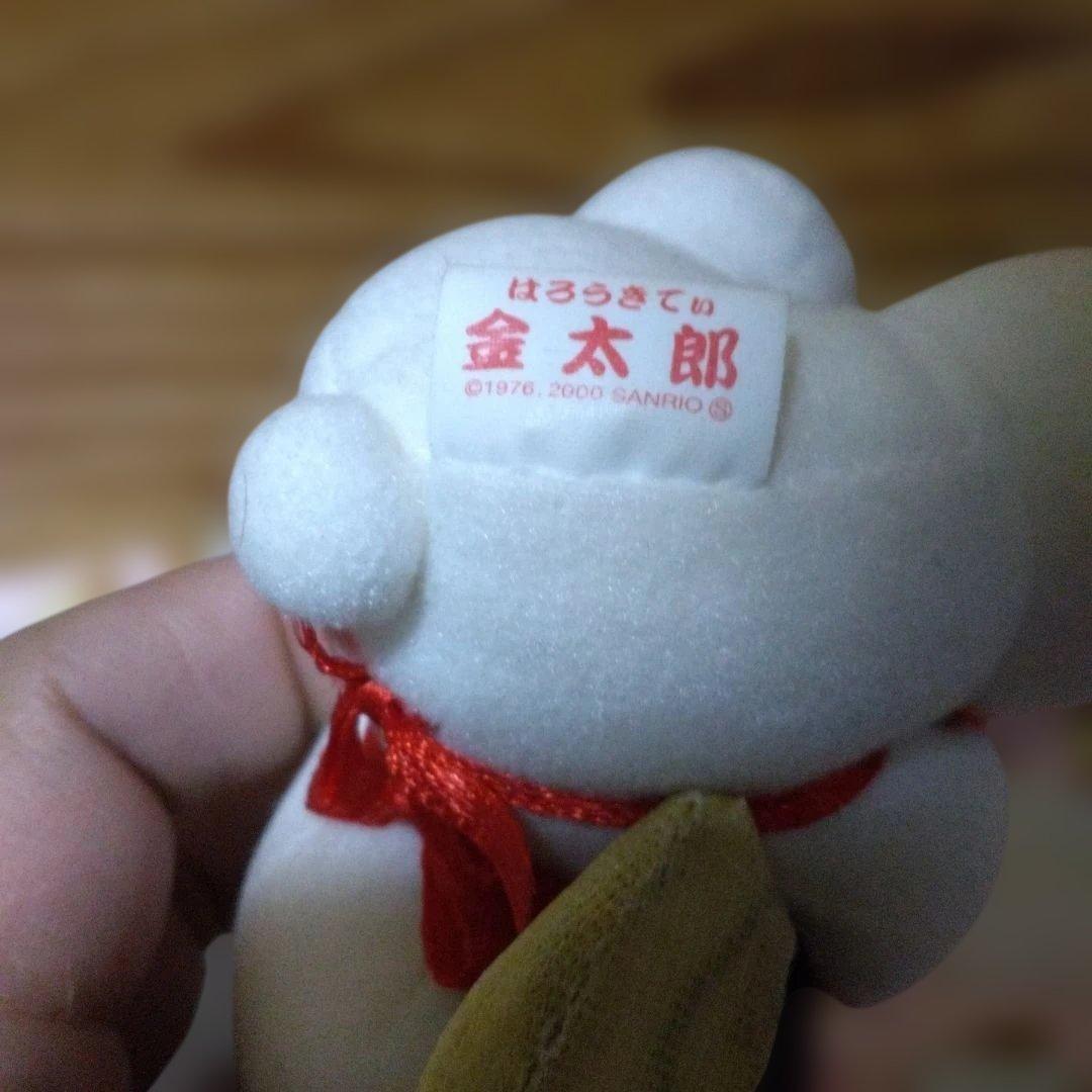 超激レア‼️２０００年レトロ‼️キティ御当地箱根ぬいぐるみキーホルダー