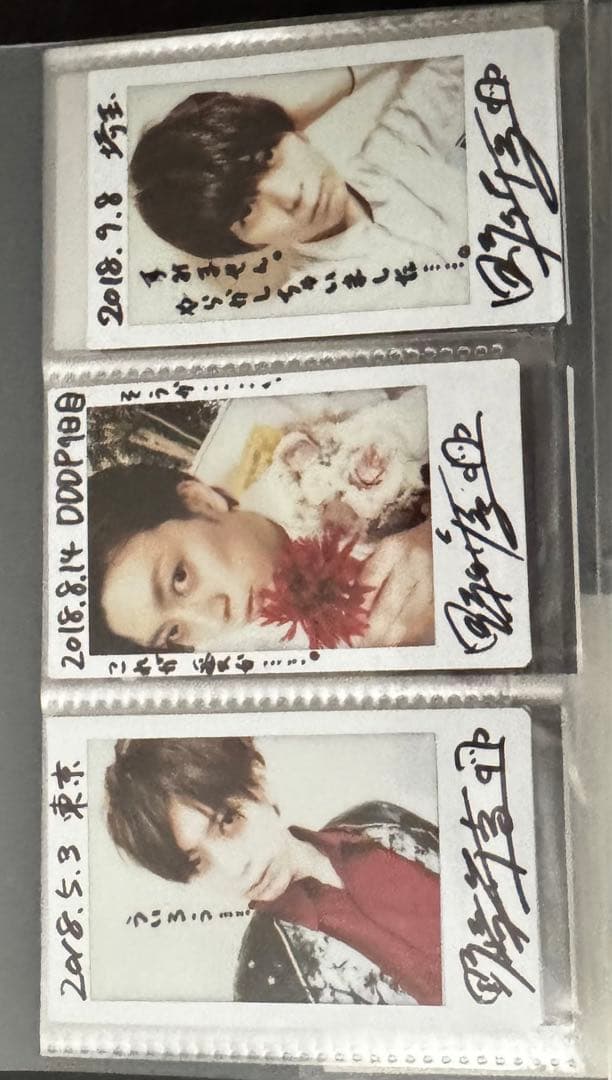 めせもあ。　野崎弁当　チェキ　2L