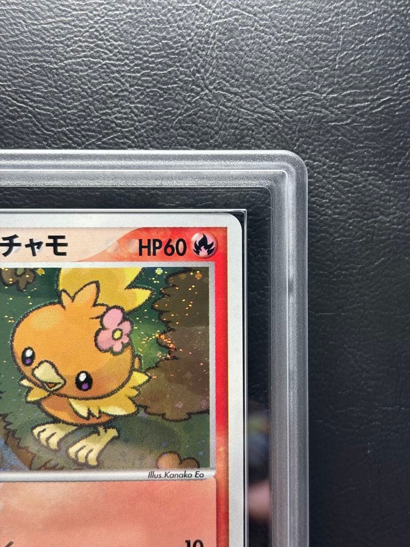 【ARS9】ポケパークのアチャモ 002/009