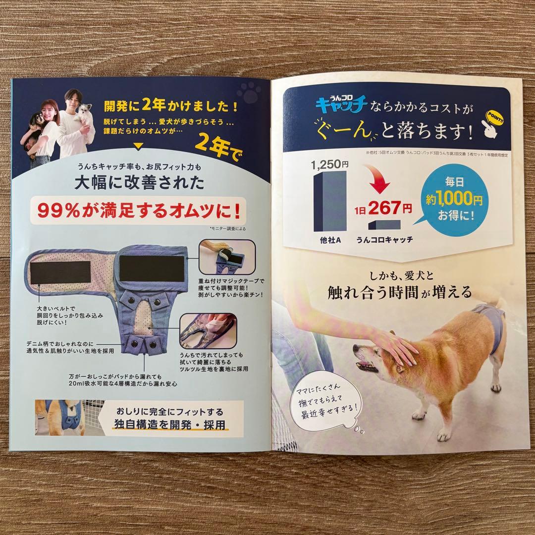 FriendDoggy うんコロキャッチ Lサイズ 未使用1枚、使用品:2枚