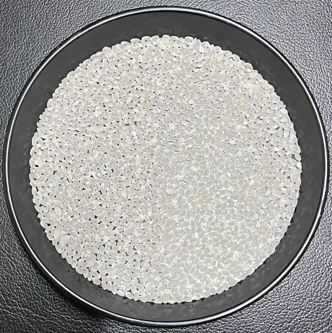 一等検査 特別栽培米 令和7年産 京都 丹後 コシヒカリ 白米 約18kg