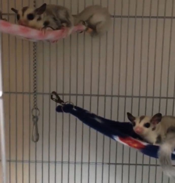 三角コーナーハンモック(迷彩柄Ⅲ)  夏仕様   2枚組  1200円