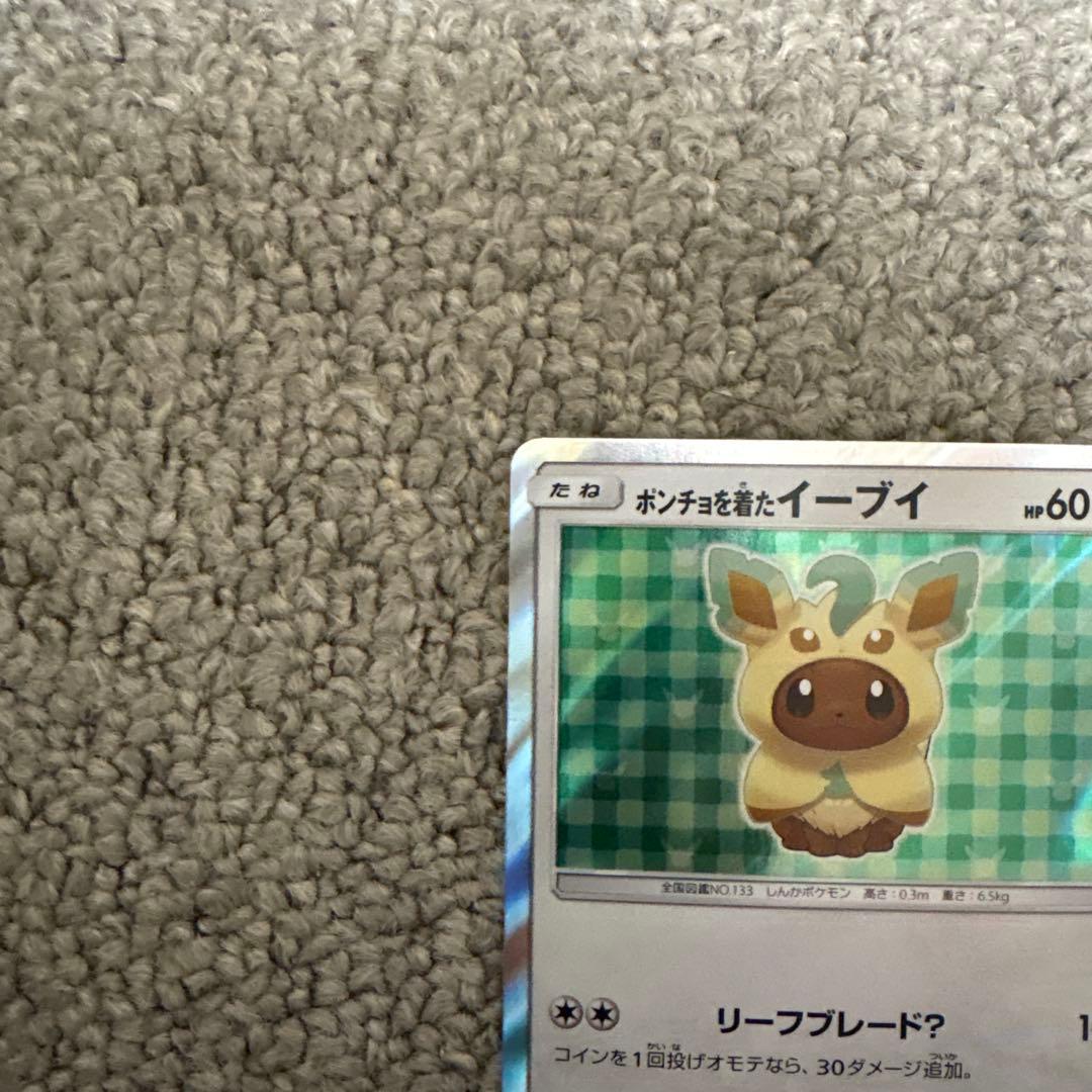 ポンチョを着たイーブイ リーフィア