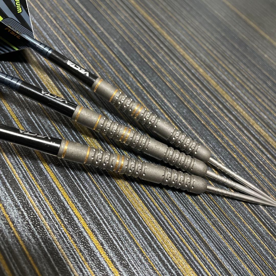 定価約18000円 マイケル ヴァン ガーウェン evo X 22.5g 最新作