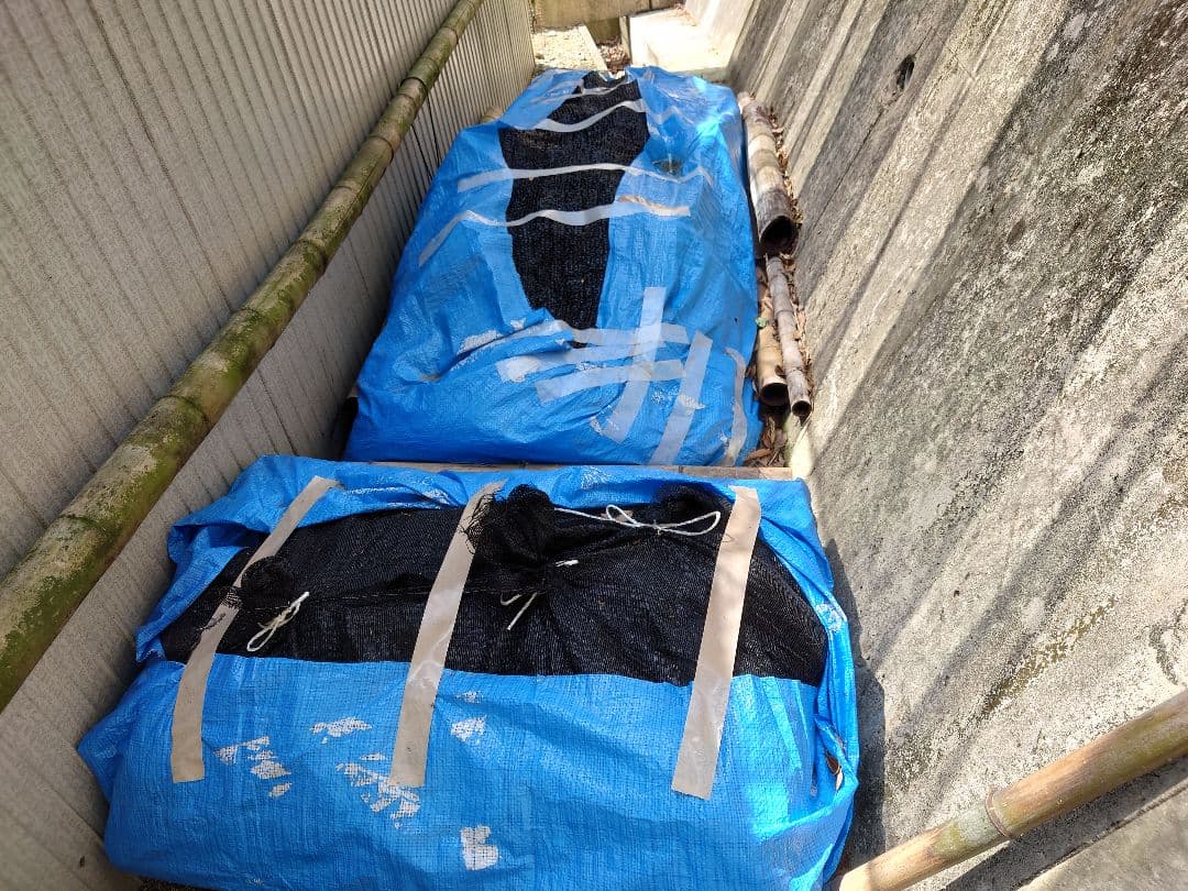 原木栽培　原木椎茸栽培キッド　No.10 大5本