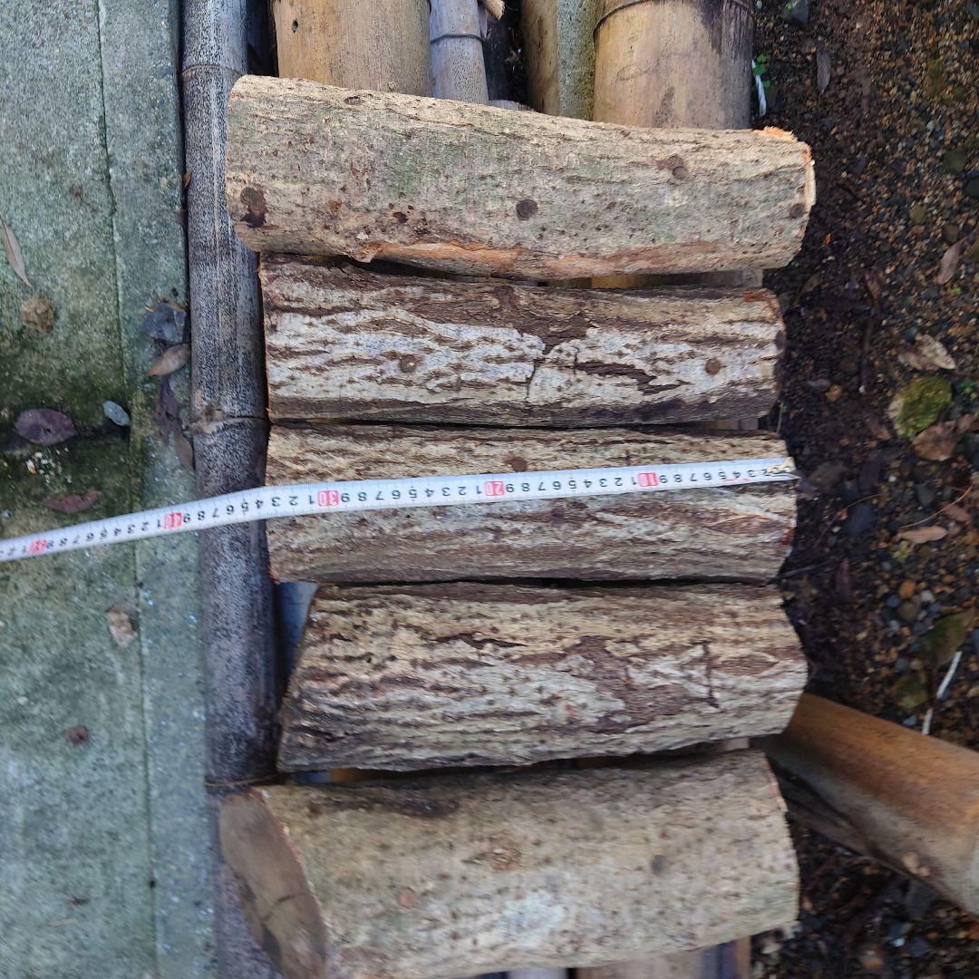 原木栽培　原木椎茸栽培キッド　No.10 大5本