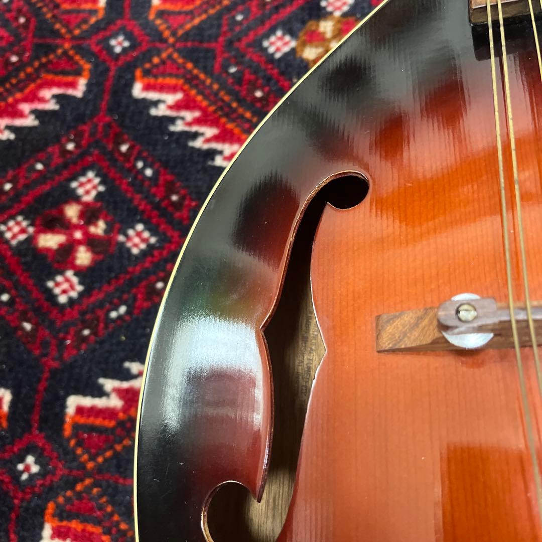 JUMBO 田原楽器　フラットマンドリン