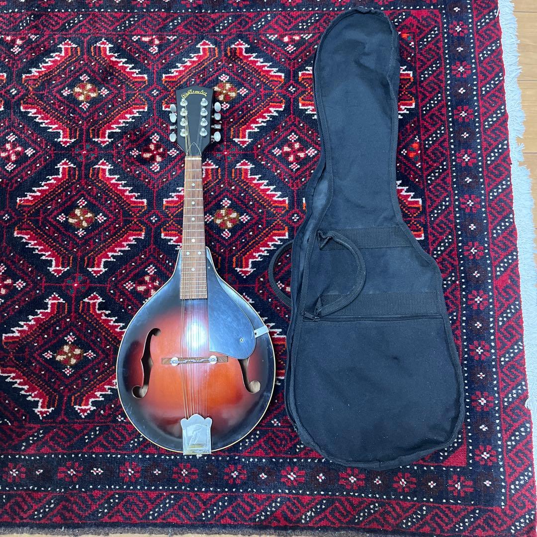 JUMBO 田原楽器　フラットマンドリン