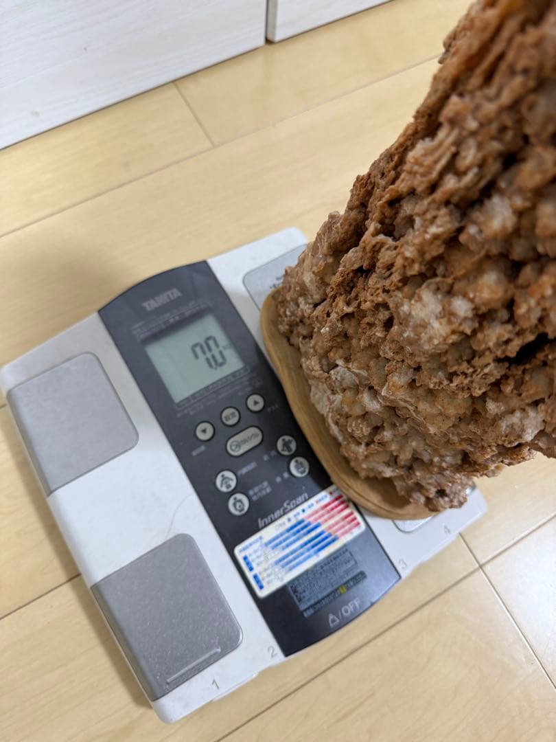 【希少】鍾乳石質 観賞石 鍾乳状天然石 カルサイト結晶塊