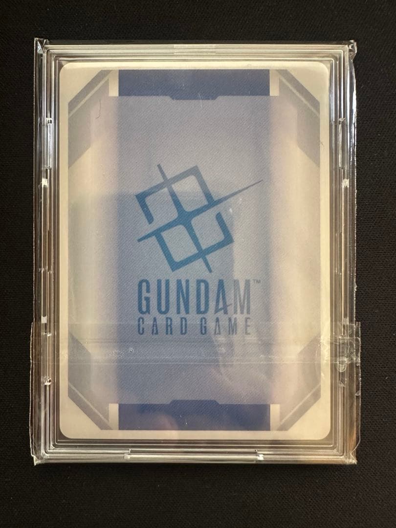 溢れる慈愛　β版　パラレル