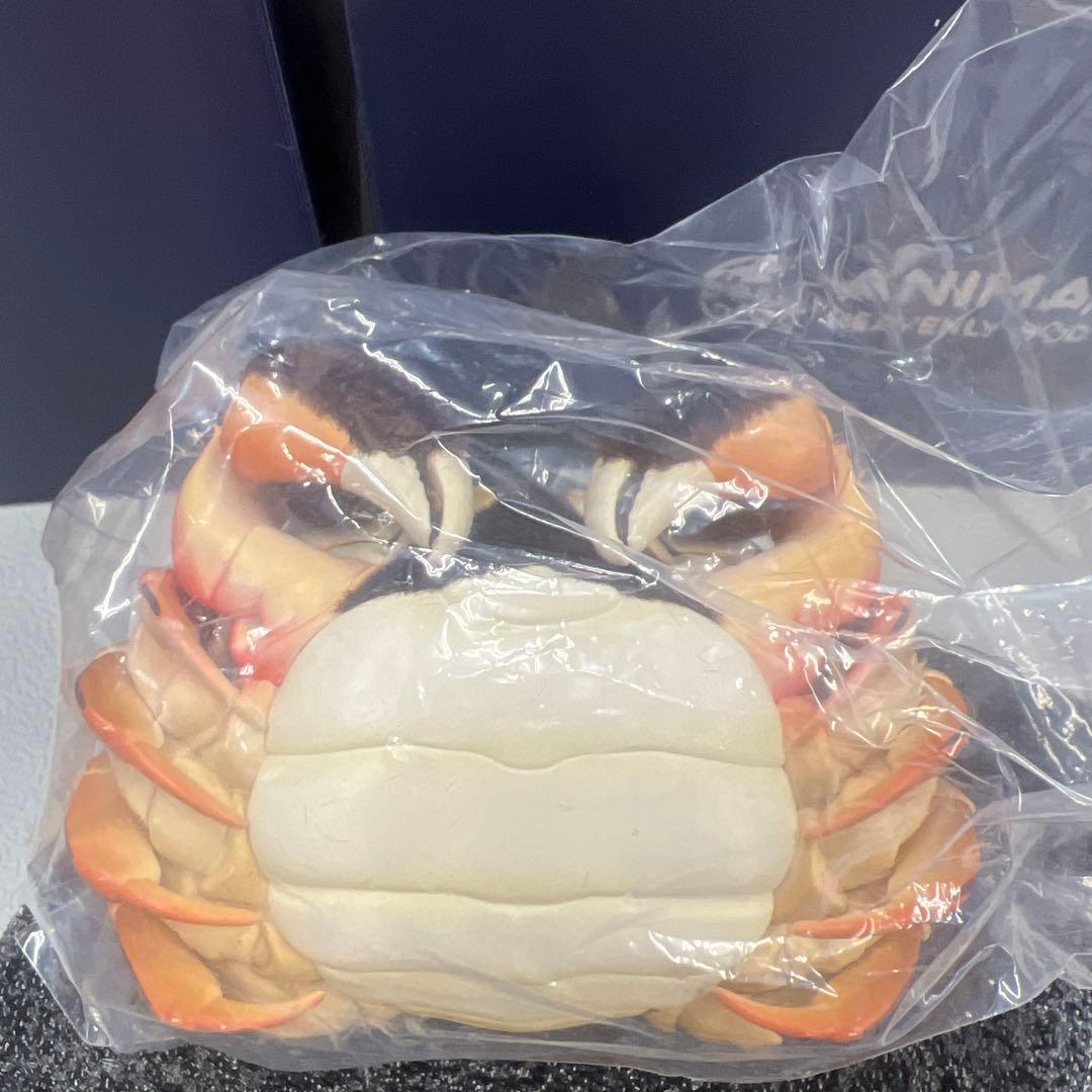 【動物の惑星】中秋限定　シャンハイガニ