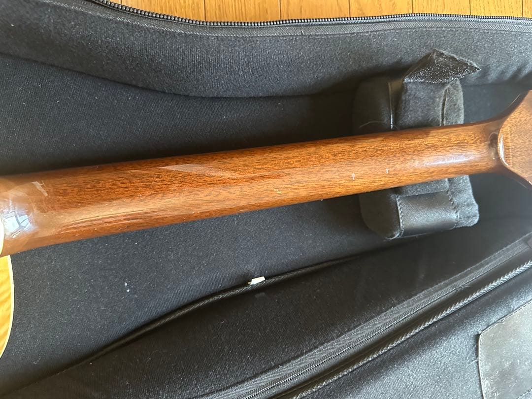 ギター Rozeo Ladybug-CB