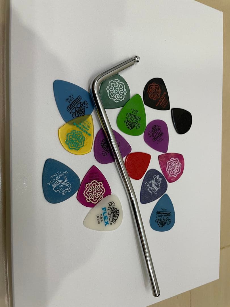 【ばーどぼーい】Ibanez TOD10 アーム有　バッグ付