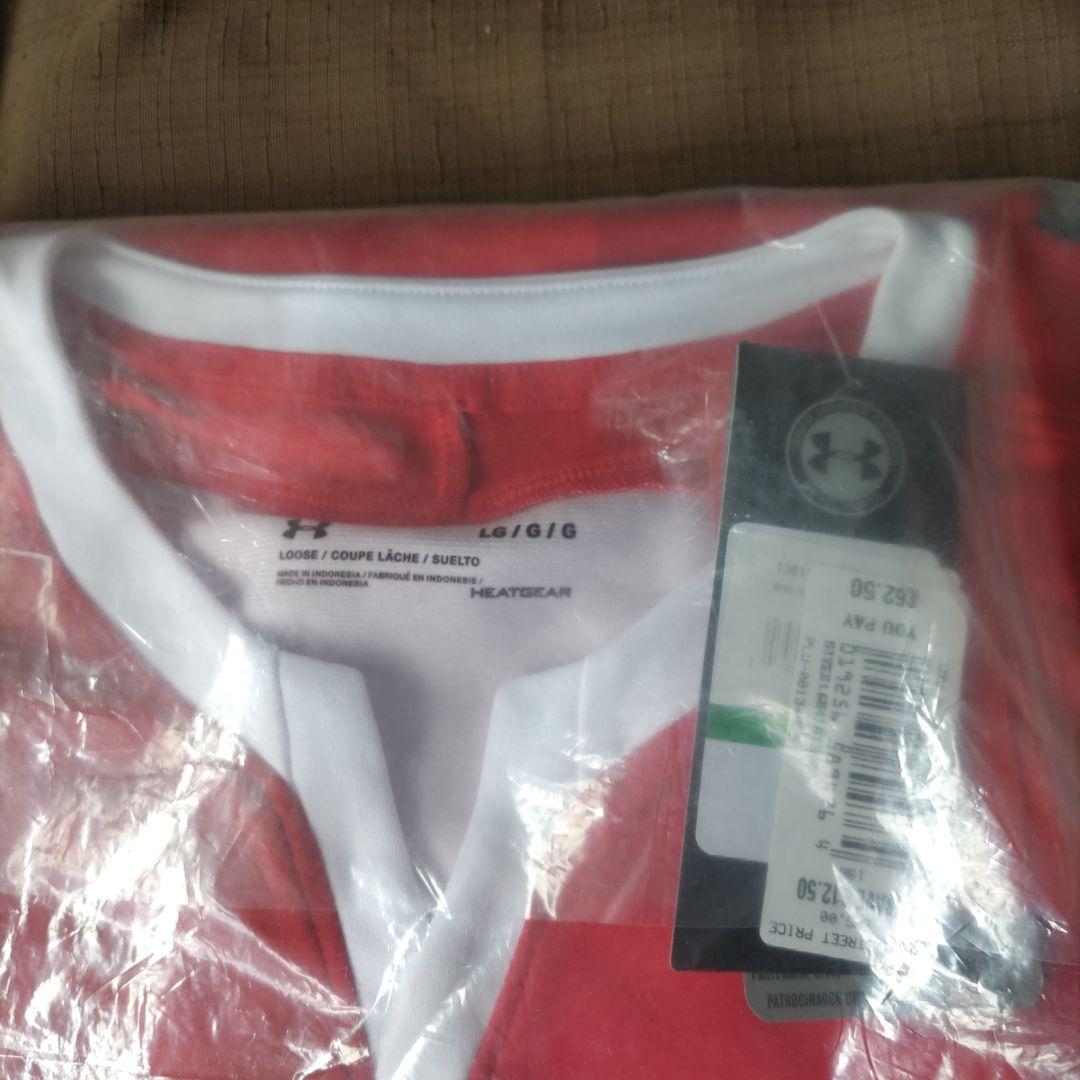 ウェールズ　レプリカ ユニフォーム Lサイズ