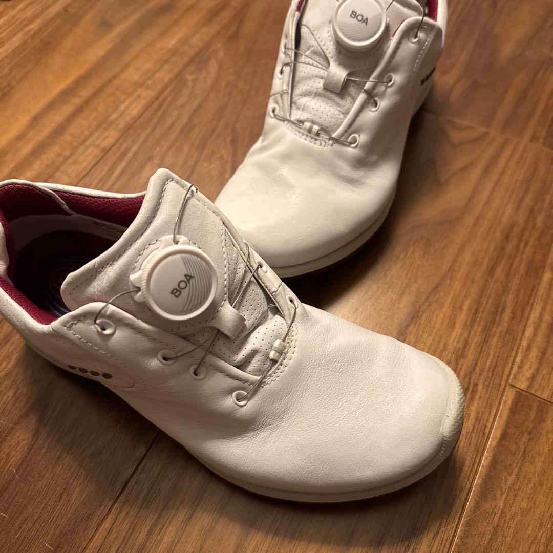 e c coのゴルフシューズレディース用36。本革。防水加工。BOA。